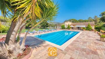 Piscina privada en Villa Miro rodeada por una terraza de piedra con tumbonas azules, una gran palmera en primer plano y una villa de color amarillo bajo un cielo azul despejado.