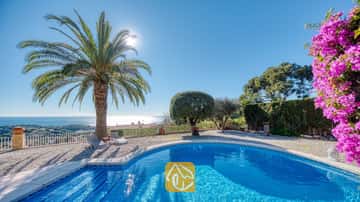 Piscina privada en Villa Gabriella con borde curvo, una gran palmera y tumbonas grises sobre una terraza de grava con vistas al mar bajo un sol radiante.