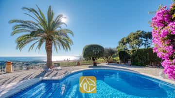 Piscina privada en Villa Gabriella con borde curvo, una gran palmera y tumbonas grises sobre una terraza de grava con vistas al mar bajo un sol radiante.