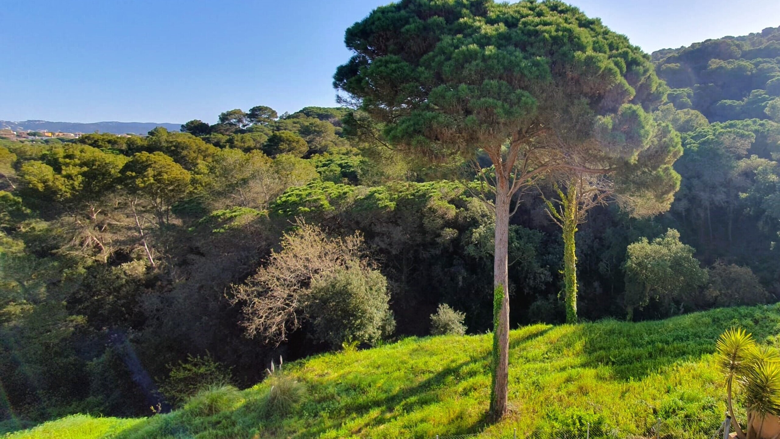 Villas de vacaciones Costa Brava España - Villa Fransisca - Una de las vistas