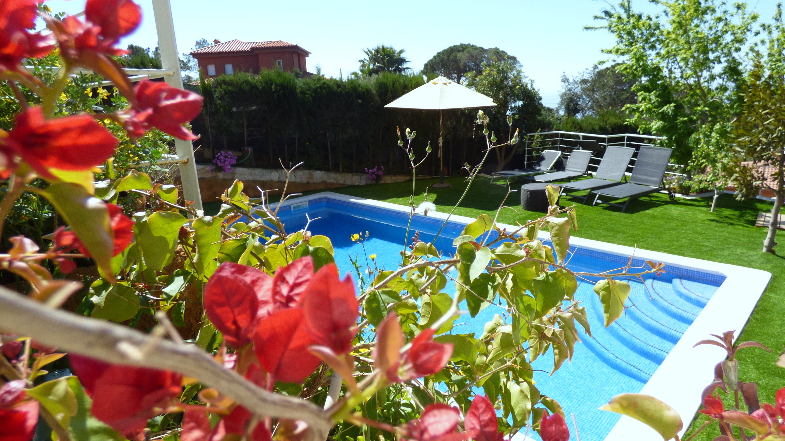 Villas de vacaciones Costa Brava España - Villa Noa - Jardín