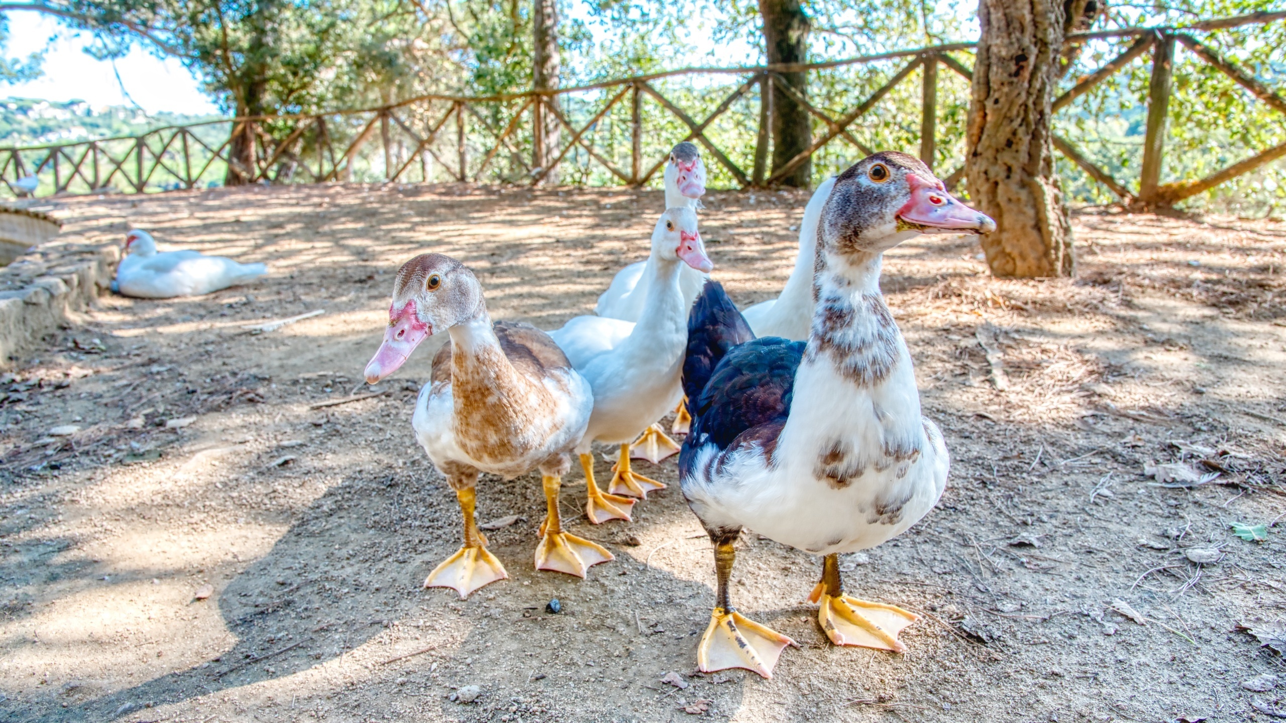 Villas de vacaciones Costa Brava España - Villa Paradise - Una de las vistas