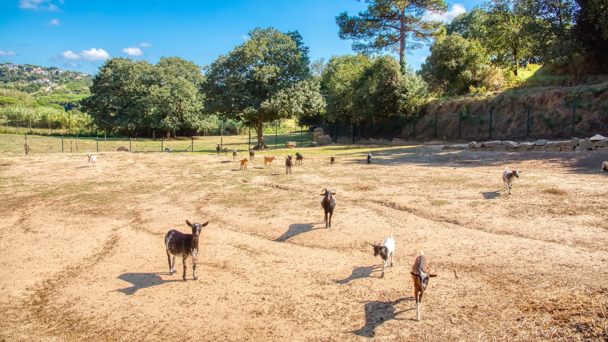 Villas de vacaciones Costa Brava España - Villa Paradise - Villa exterior