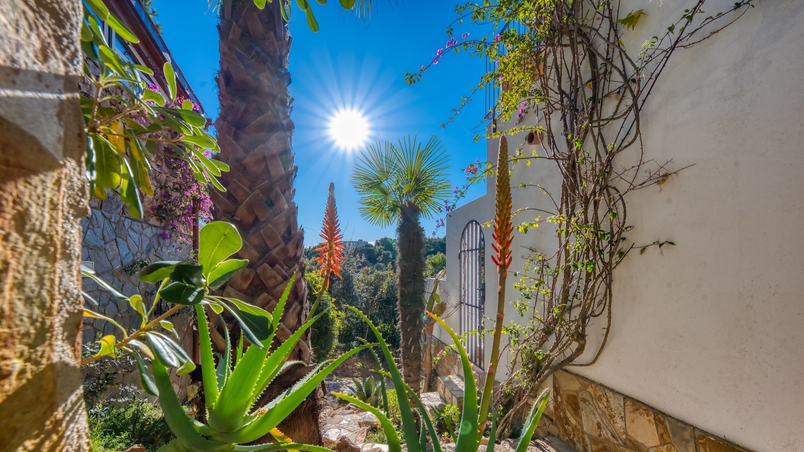 Villas de vacaciones Costa Brava España - Casa AdoRa - Jardín