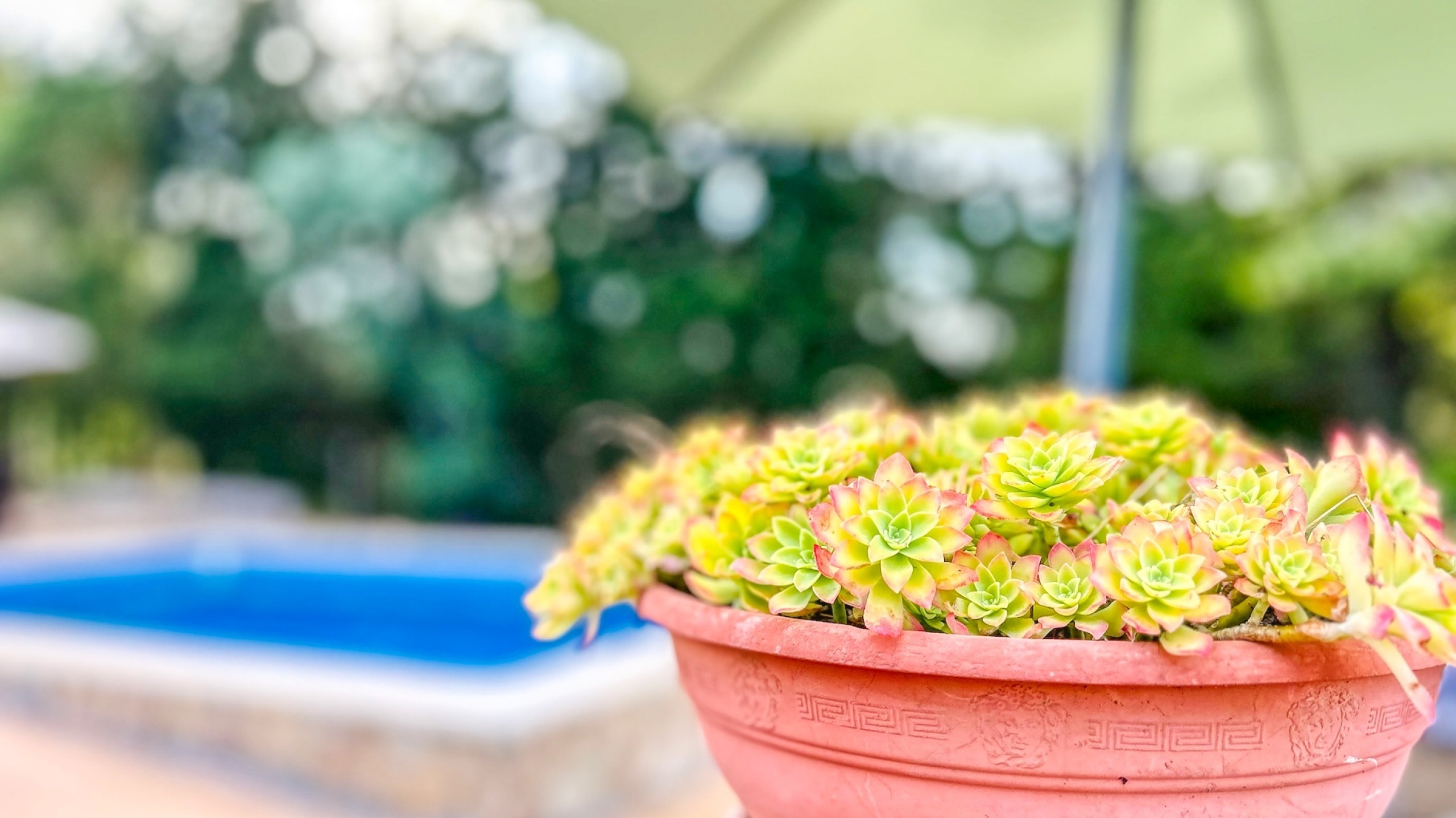 Villas de vacaciones Costa Brava España - Villa Iako - Villa exterior